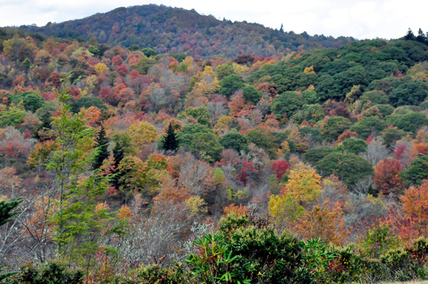 fall colors on The Blue Ridge Parkway